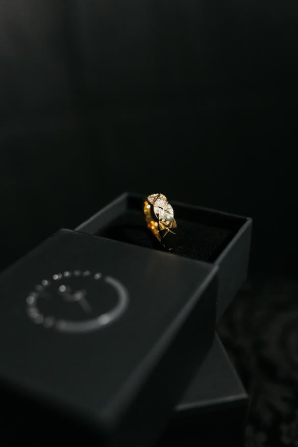 BAGUE BAI