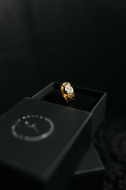 BAGUE BAI